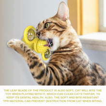 Load image into Gallery viewer, Windmill Cat Toy