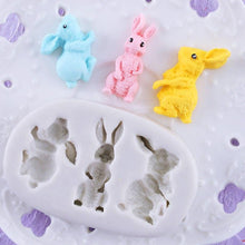 Load image into Gallery viewer, 3D Silicone Rabbit Mold
